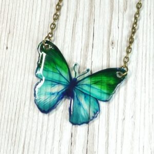 Blue and green butterfly